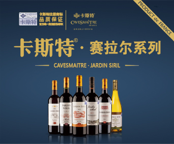 卡斯特 · 經銷商政策