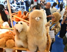 我國外貿“伴侶圈”越來越大 2024年外貿表示亮眼