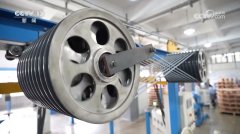 核心 突圍拓展多元市場(chǎng)中國(guó)外貿(mào)企業(yè)“兩條腿”